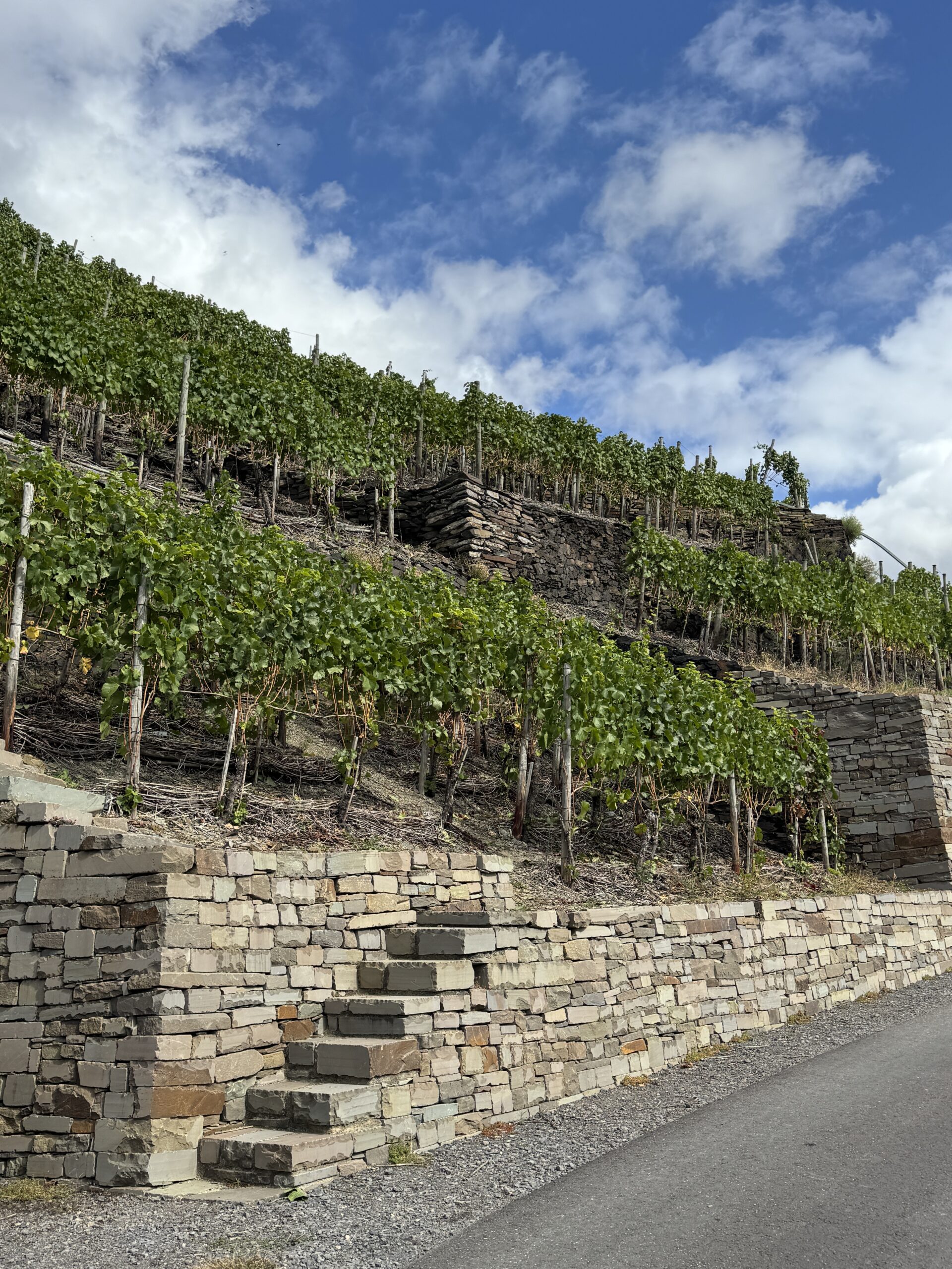 Tagung des BTG e. V. 2025